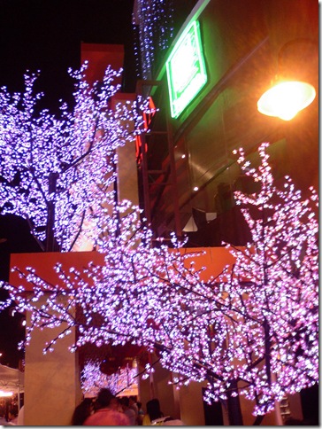 Photo-0463