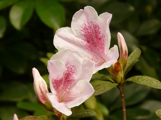 Bonjour Yesterday Me Ikea