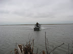 Airboat Ride
