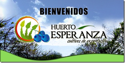 bienvenidos