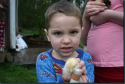 around the house 042