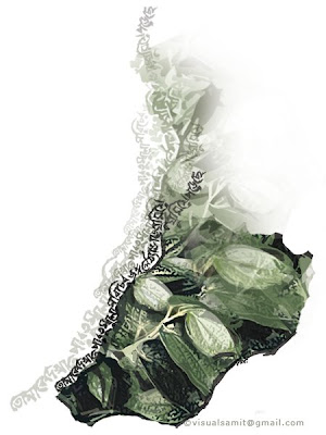 Digital art and Bengali Visual Poetry by Samit Roy
