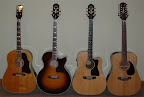 The acoustic collection as of March 2008... Gibson Country Western Model, Guild F47M-CE mini-jumbo acoustic-electric, Guild DC5E-NT True American acoustic-electric, Takamine EF-385 12-string acoustic-electric 