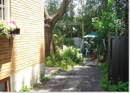 DSC00575