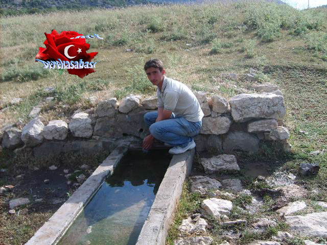 dkn etkinlikleir