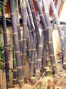 Bambu Wulung