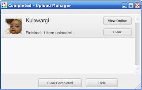Upload to web by Picasa