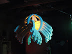 IMG_2027.jpg