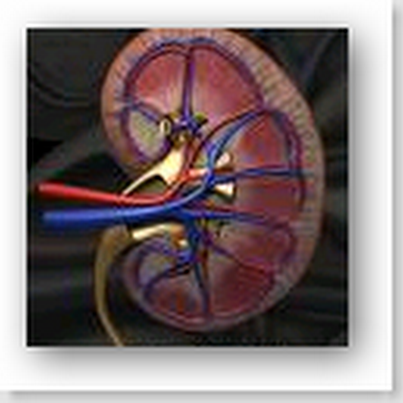 Anonymous Kidney Donors Use Internet To Find Recipients