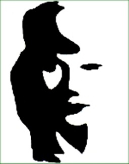 Illusione Ottica (16)