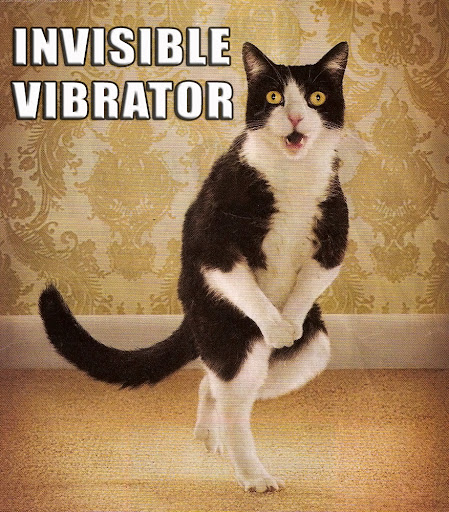 Lolcat-Invisible-Vibrator.jpg?imgmax=512