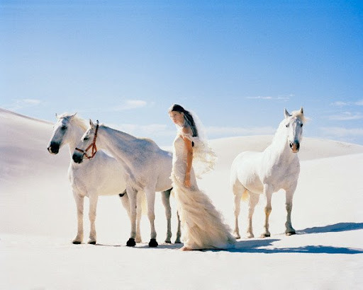 prom dress + 3 horses