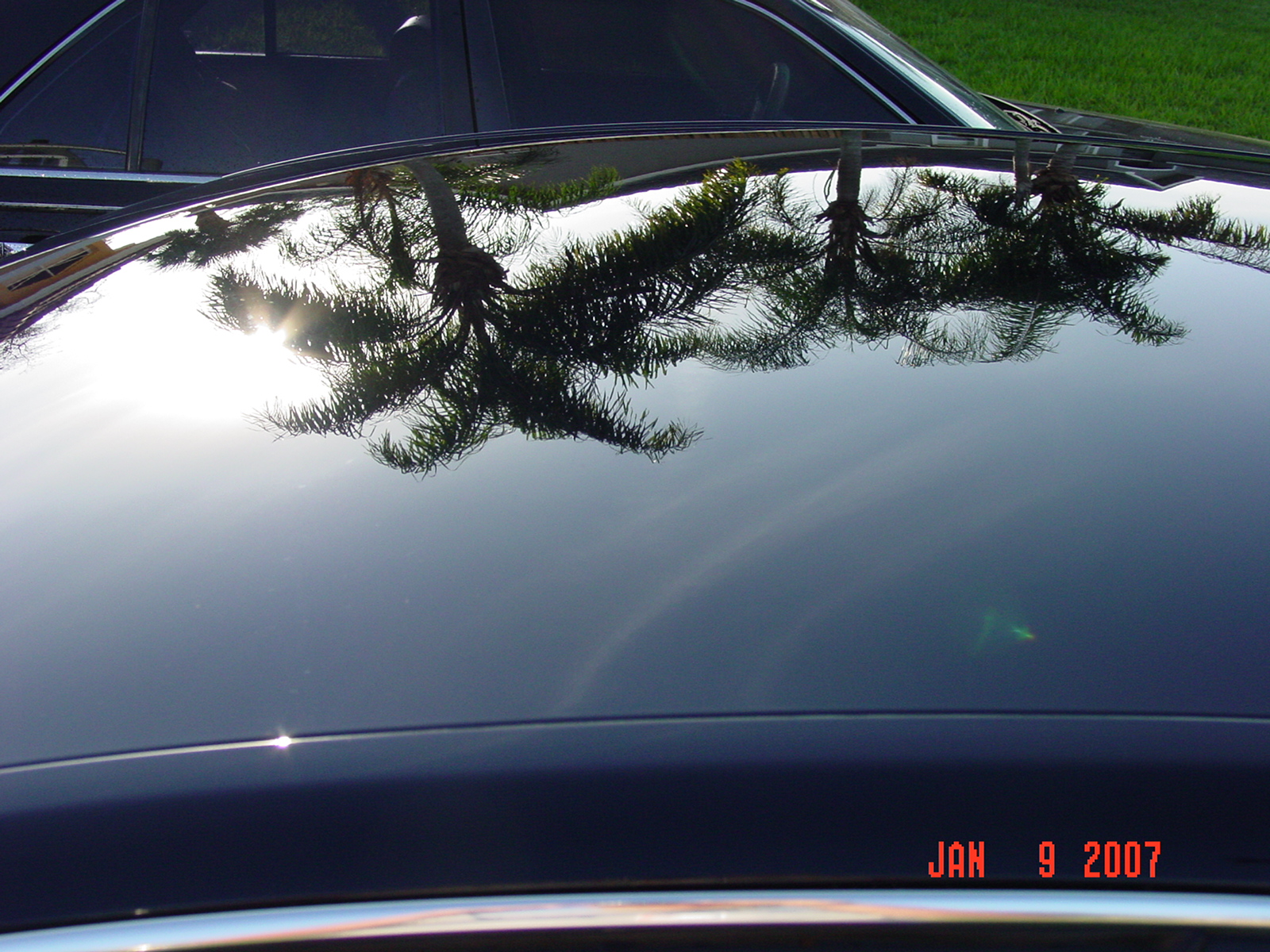 DSC09883.JPG