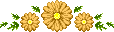 natu18x.png
