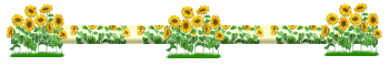a3.png