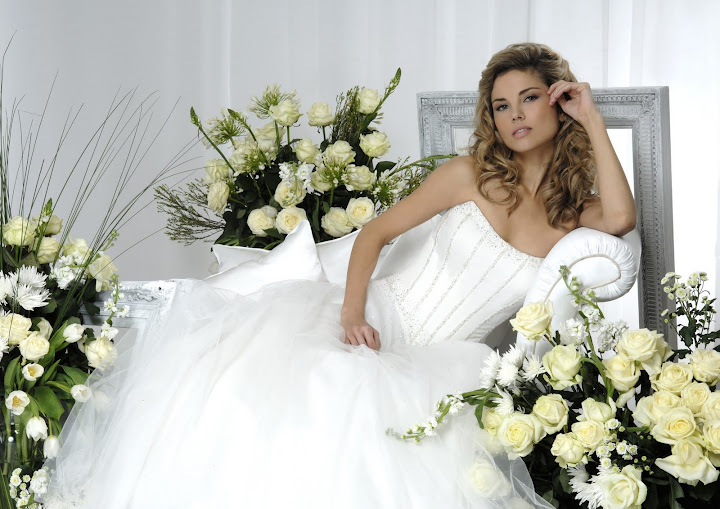 Veromia-Elegant Bridal Gown, Fashionable Look 2010