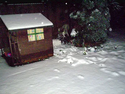Snow pic 2