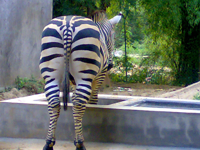 03092007487.jpg?imgmax=800
