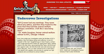 Kentucky_Fried_Cruelty__Undercover_Investigations