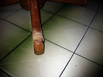 [DOG]超級破壞王－豆豆戰績記實！ - 阿祥的網路筆記本