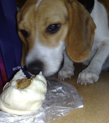 [Food]包的不是黑貓肉的超好吃黑貓包！ - 阿祥的網路筆記本