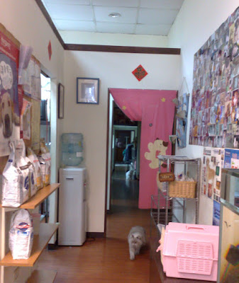 [DOG]送豆豆去動物醫院了…等待中！ - 阿祥的網路筆記本