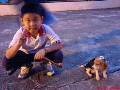 [DOG]豆豆三週大事紀！睡姿有夠差的小狗啦！ - 阿祥的網路筆記本