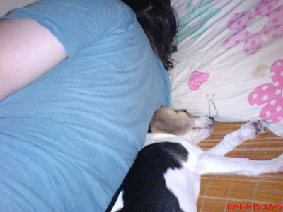 [DOG]與豆豆同床共眠… - 阿祥的網路筆記本