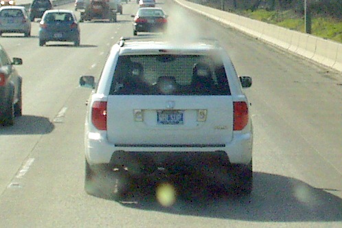 funny license plates. Funny License Plate Thread