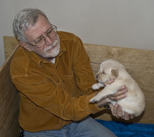 quotes on appreciation. Associate Appreciation Quotes