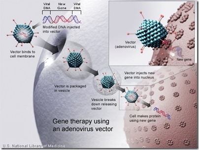Diagram illustrating the process of gene therapy