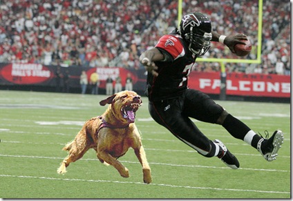 Michael Vick and pitbull picture