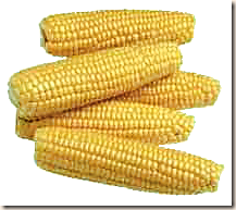 corn_on_the_cob_1