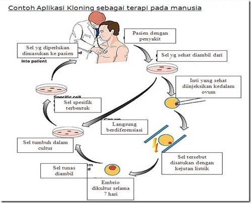 KoDoMu: Aplikasi Kloning Sebagai terapi pada manusia