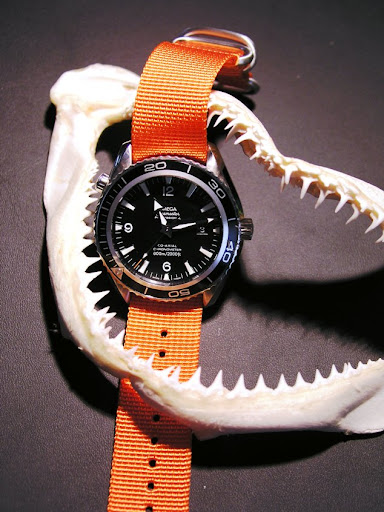 Orange Nato Strap. I have an orange Zulu that