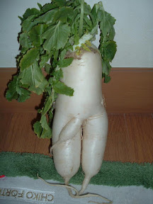 [KUSO]帶“把”的菜頭！ - 阿祥的網路筆記本