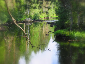 Small creek in Eastern Finland