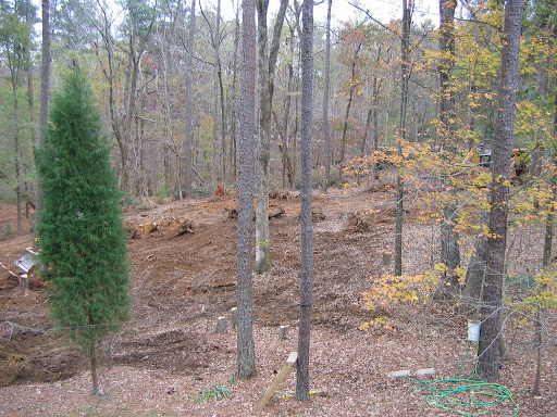 111604%20garage%20tree%20and%20stump%20removal%20010.JPG