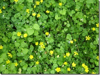 578805482_2f74576969