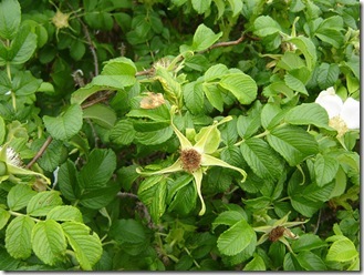 578810706_e2f6126e59