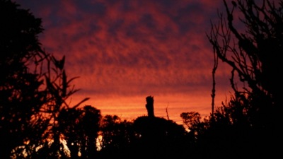 Sunset from Pirongia
