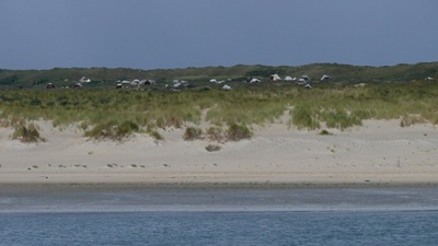 Vlieland camp site from the sea