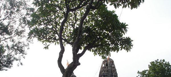 वेळापुर चे अर्धनारीनटेश्वर मंदिर ...