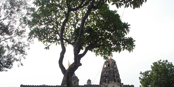 वेळापुर चे अर्धनारीनटेश्वर मंदिर ...