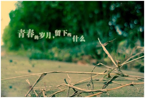 2007，走过的