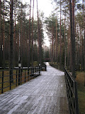 P1010172.JPG