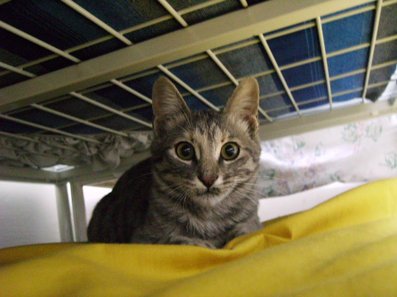 Notes From Jerusalem