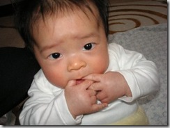 コピー ～ KIF_1642