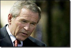 bush